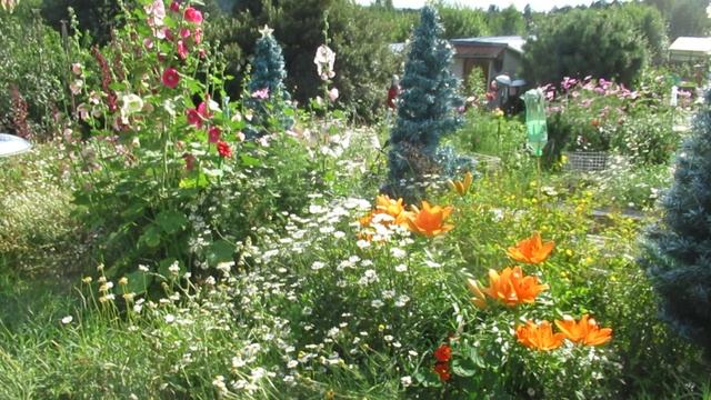 По клавишам танцуют пальчики! Владимир Моряк, Алёнушке, Елене МОРОЗОВОЙ 27