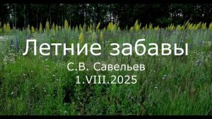 С.В. Савельев - Летние забавы