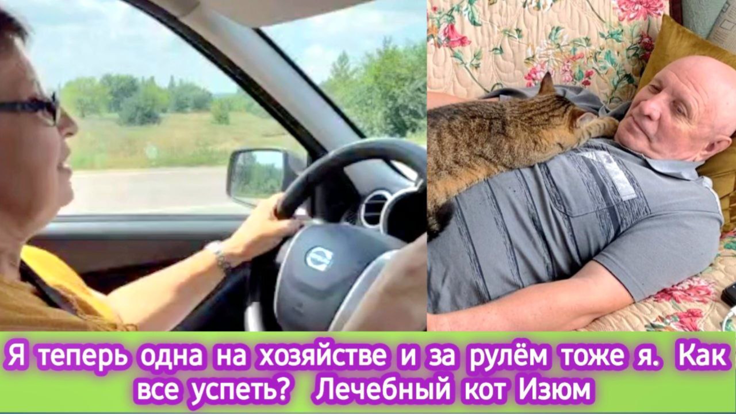 Я теперь одна на хозяйстве и за рулём тоже я. Лечебный кот Изюм смотреть онлайн