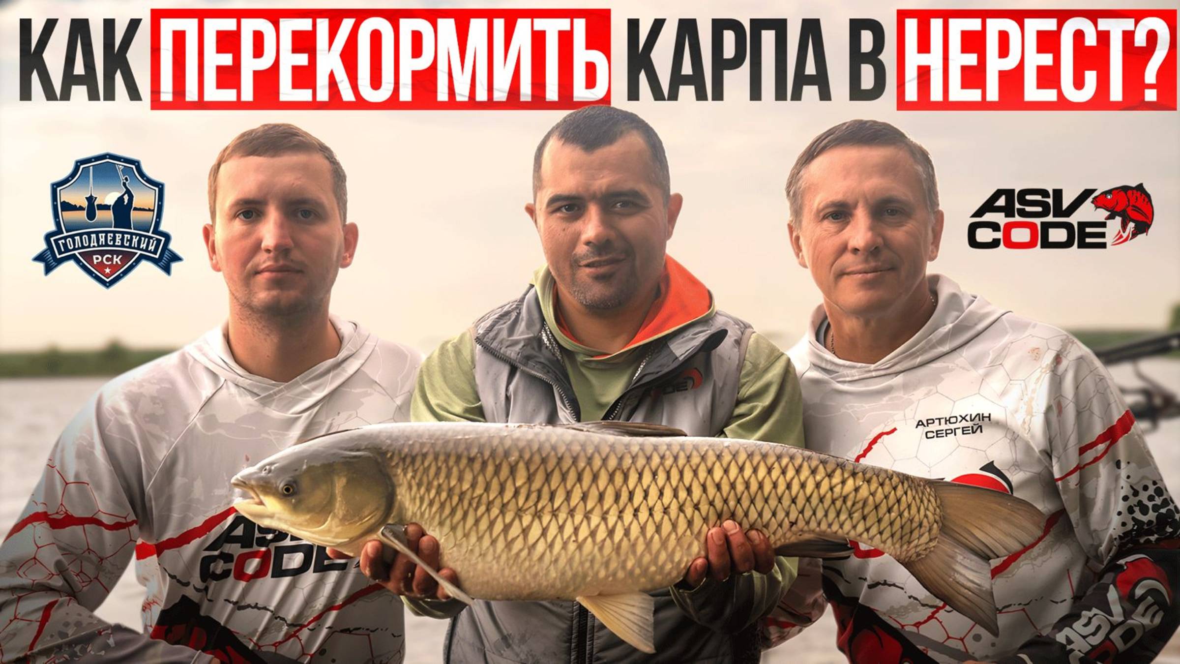 КАК ПЕРЕКОРМИТЬ КАРПА В НЕРЕСТ?