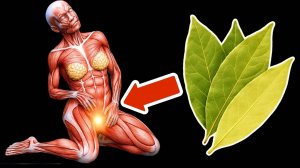 Пейте чай с лавровым листом каждый день и УДИВЛЯЙТЕСЬ ТОМУ, ЧТО ПРОИСХОДИТ💥(Потрясающе)🤯