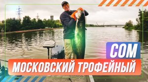 Московский трофейный СОМ. #OnlySpin