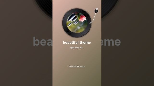 beautiful theme