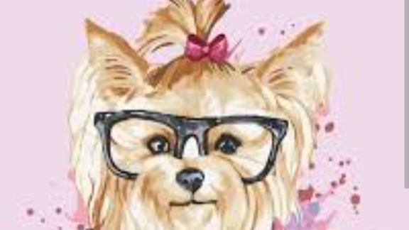 🐕🦴🍖🍖🦴🦴