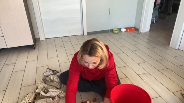 #влог ДЕЛА ШКОЛЬНЫЕ.Дистанционное обучение? Сажаю луковичные - тюльпаны, нарциссы. Переезд на юг. смотреть онлайн