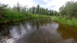 И вновь классная рыбалка! Река Северная и её притоки. Часть первая. #экстрим, #рыбалка