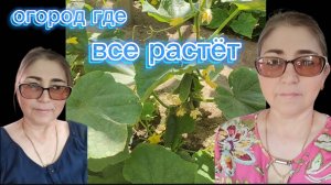 Страничка надежды Огород Правдивой Натальи