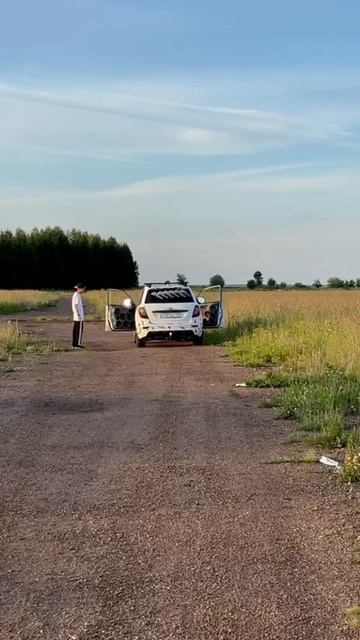 #DL_Audio_Team_Pro, #DL_Audio, Демонстрация фронта на компонентах #DL_Audio Legend 200 Neo