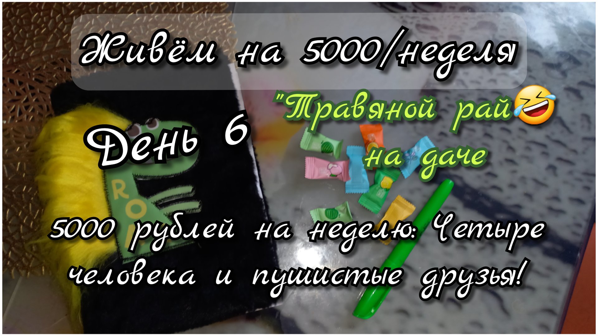 5000 рублей на неделю: Четыре человека и пушистые друзья//день6 смотреть онлайн