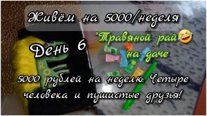 5000 рублей на неделю: Четыре человека и пушистые друзья//день6