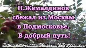 Н.Жемалдинов сбежал из Москвы в Подмосковье. В добрый путь!