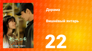 Вишнёвый янтарь 1 сезон 22 серия