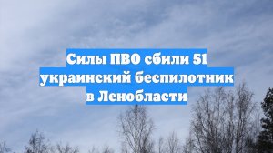 Силы ПВО сбили 51 украинский беспилотник в Ленобласти