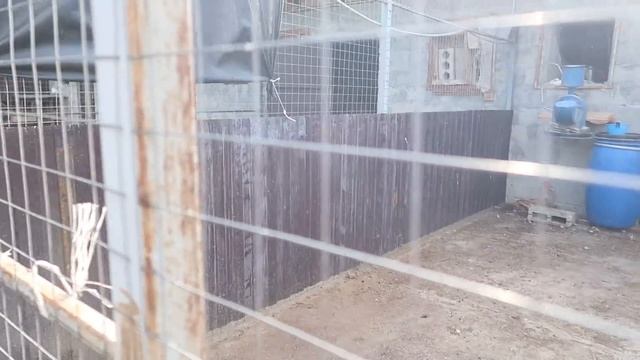 #ВЛОГ Ищем дом в аренду в станице Натухаевской. Знакомство с "челябинцем" и не только. Юг в мелочах смотреть онлайн