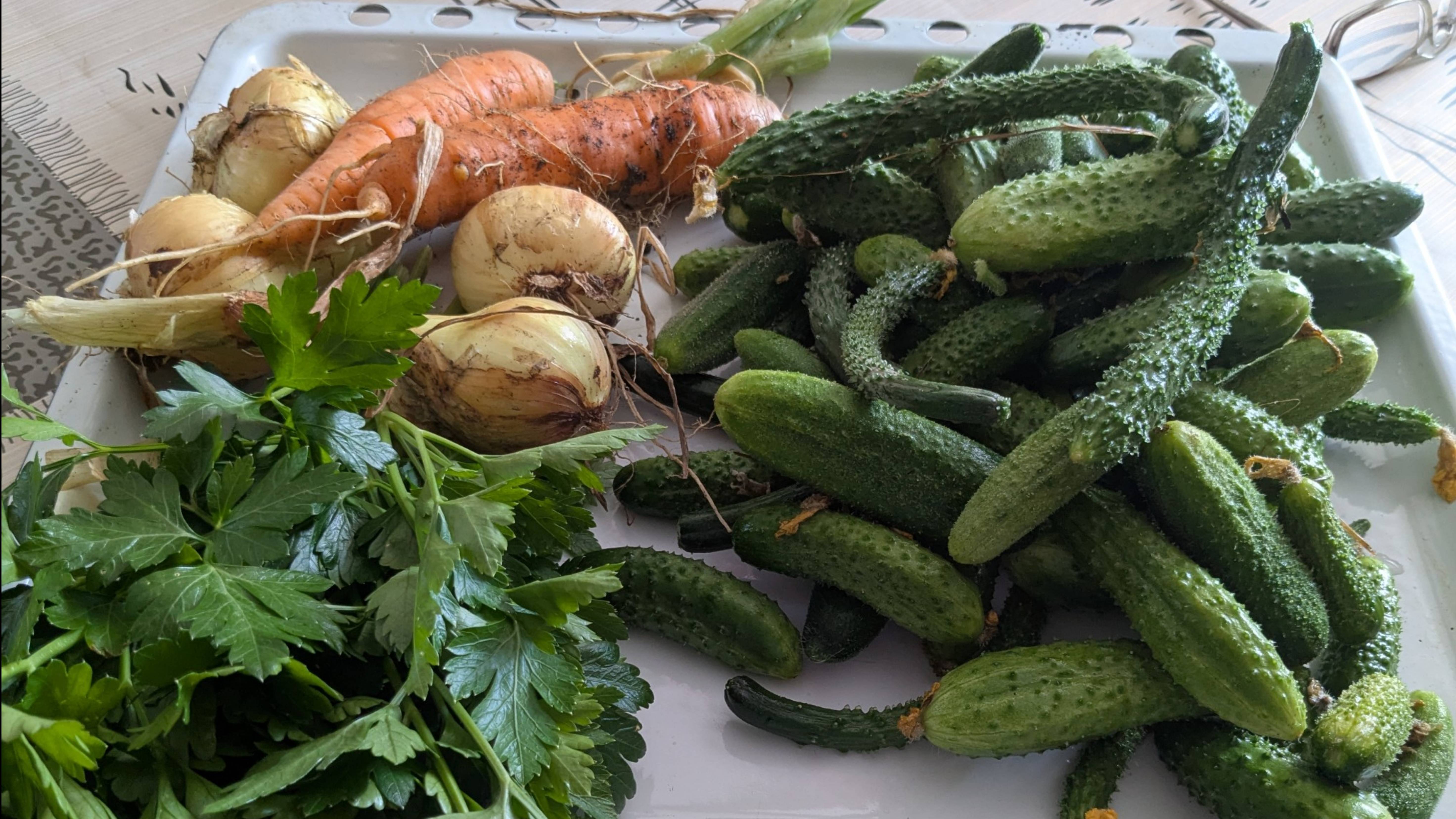 Обрезка клубники и петунии. смотреть онлайн