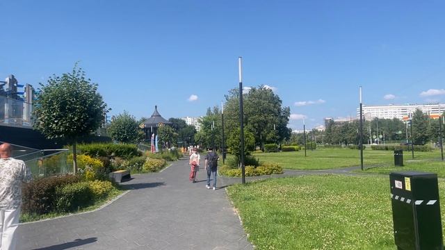 Прогулка среди Деревьев, Окрашенных Золотыми Лучами Лета