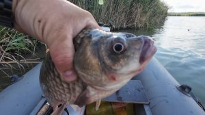 Рыбалка на плавающие донки!