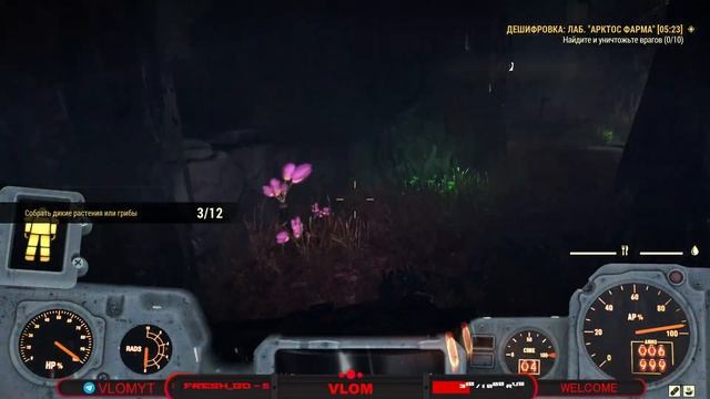 Разгрузочный Стрим По Fallout 76