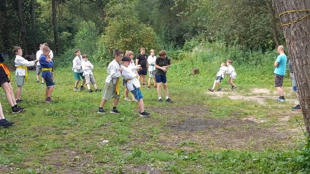 тренировка