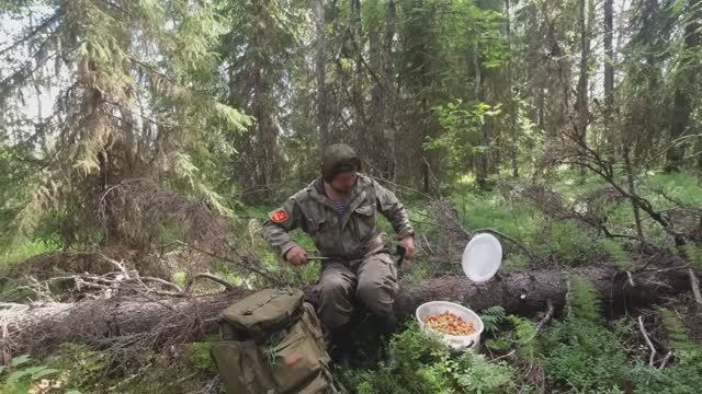 СБОР ДИКИХ ЯГОД В ТАЙГЕ. ЯГОДНЫЙ СЕЗОН В КАРЕЛИИ. САМАЯ ПОЛЕЗНАЯ ЯГОДА В МИРЕ. ТАЁЖНЫЙ ПРОМЫСЕЛ смотреть онлайн