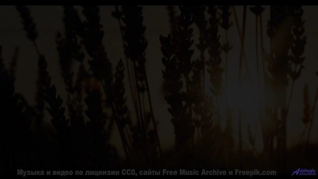 Ты НЕ ЗНАЛ, что так бывает! - Virtual Violin Virtuoso -- Techtheist -- FMA 2021