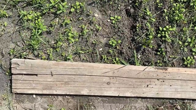 #Влог Цены в «Пятерочке». Борюсь с сорняками и делаю компостную яму Станица Натухаевская смотреть онлайн