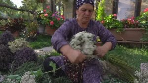 Kənd Həyatı. Сельская жизнь. Harvesting & Preserving Nature’s Flavors — Drying Natural Seasonings