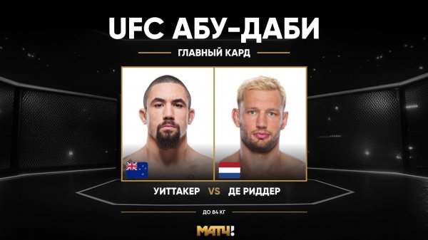 Ренье де Риддер против Роберта Уиттакера (видео). UFC Fight Night