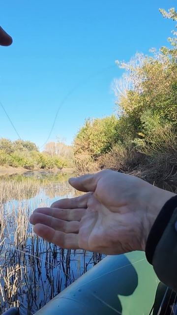 Щука на кружки. Вот это рыбалка!