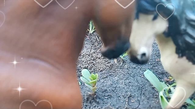 клип Энигма и Гранд смотреть онлайн