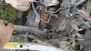 Nissan Sunny не работает звуковой сигнал.