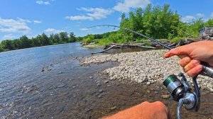 Крупные рыбы бьют на мели. Я В ШОКЕ ОТ СИЛЫ БОРЬБЫ. Первая рыбалка на Камчатке
