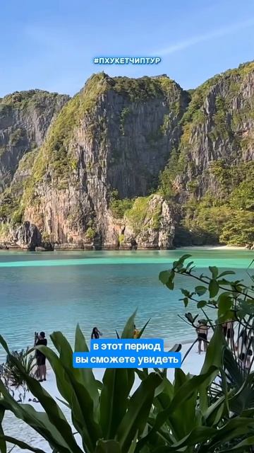 📣 Майя Бэй закрыта с 1 августа! Доступна только остановка у бухты - без высадки на берег смотреть онлайн