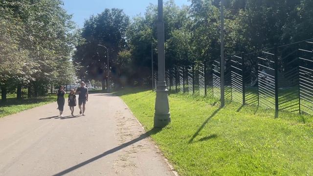 Летняя Прогулка по Парку, Где Солнце Играет на Листьях Деревьев