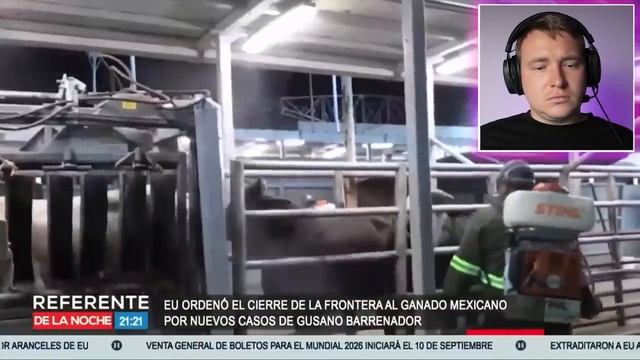 GRINGOS LLORAN POR QUEDARSE SIN ALIMENTOS De MÉXICO