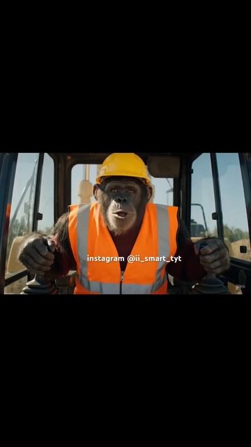 Жора ищет работу экскаваторщик! смотреть онлайн