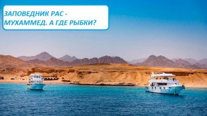 Морская экскурсия в Рас-Мохаммед⧸Разочарование рифом⧸Белый остров. Египет.