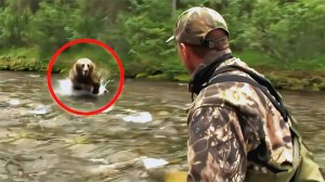 Удивительные случаи с МЕДВЕДЯМИ, снятые на камеру