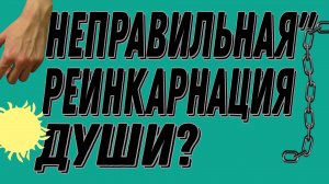ИМЕЛА ЛИ Я ПРАВО ДЕЛАТЬ ЭТО, ИЛИ ПОБЕДИТЕЛЕЙ НЕ СУДЯТ!?