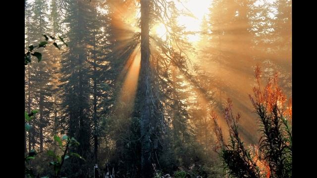 А без тебя кого бы я любил.
Бронислав Горб