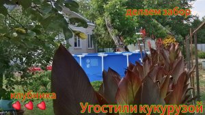 Переезд из Сибири на юг. Купили дом на юге. Наслаждаемся южной жизнью 💖