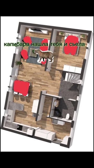 прятки с капибарой 1 часть смотреть онлайн