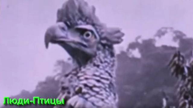 Ответы на Вопросы по Эзотерике от 27.07.25 Часть 3 смотреть онлайн