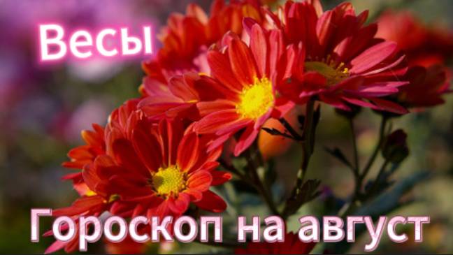 Весы! Гороскоп на август 2025 года! смотреть онлайн