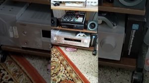 Колонки для автомобиля DL Audio Barracuda 250,Динамики автомобильные  DL Audio Gryphon Pro 250