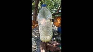 как избавиться от мошек, ОС, паутов, комаров на участке