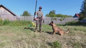 Тренировка способности переключаться из состояния возбуждения в спокойное состояние.