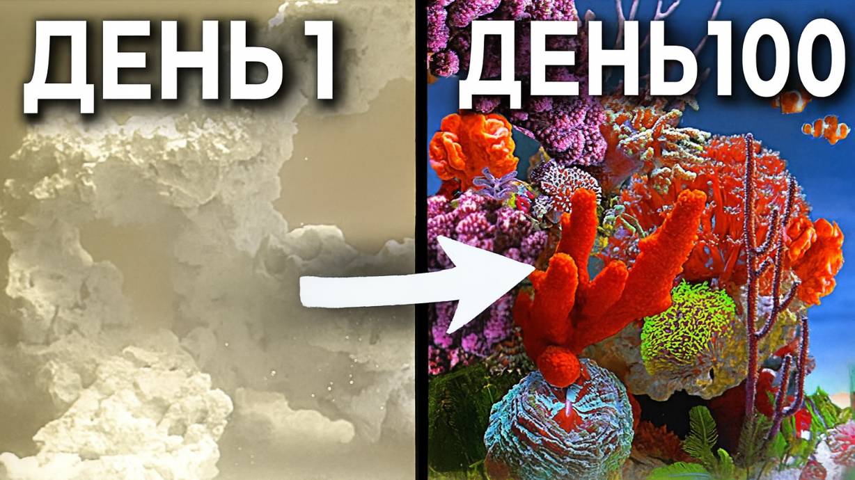 Симуляция рифа 100 ДНЕЙ подряд!