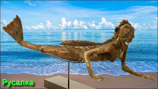 Ответы на Вопросы по Эзотерике от 27.07.25 Часть 4 смотреть онлайн