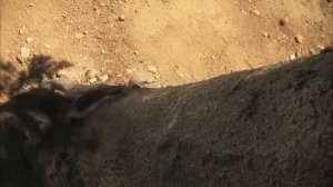 Настоящие Монстры Юрского Периода: Тайны Доисторической Земли